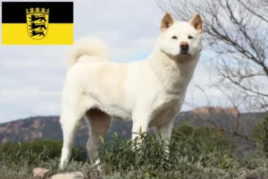 Přečtete si více ze článku Chovatelé akit a štěňata v Bádensku-Württembersku