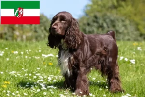 Přečtete si více ze článku Chovatelé feldšpanělů a štěňat v Severním Porýní-Vestfálsku