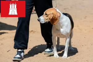 Přečtete si více ze článku Chovatel švýcarských nížinných psů a štěňat v Hamburku
