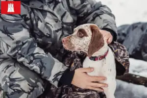 Přečtete si více ze článku Chovatel Braque du Bourbonnais a štěňata v Hamburku